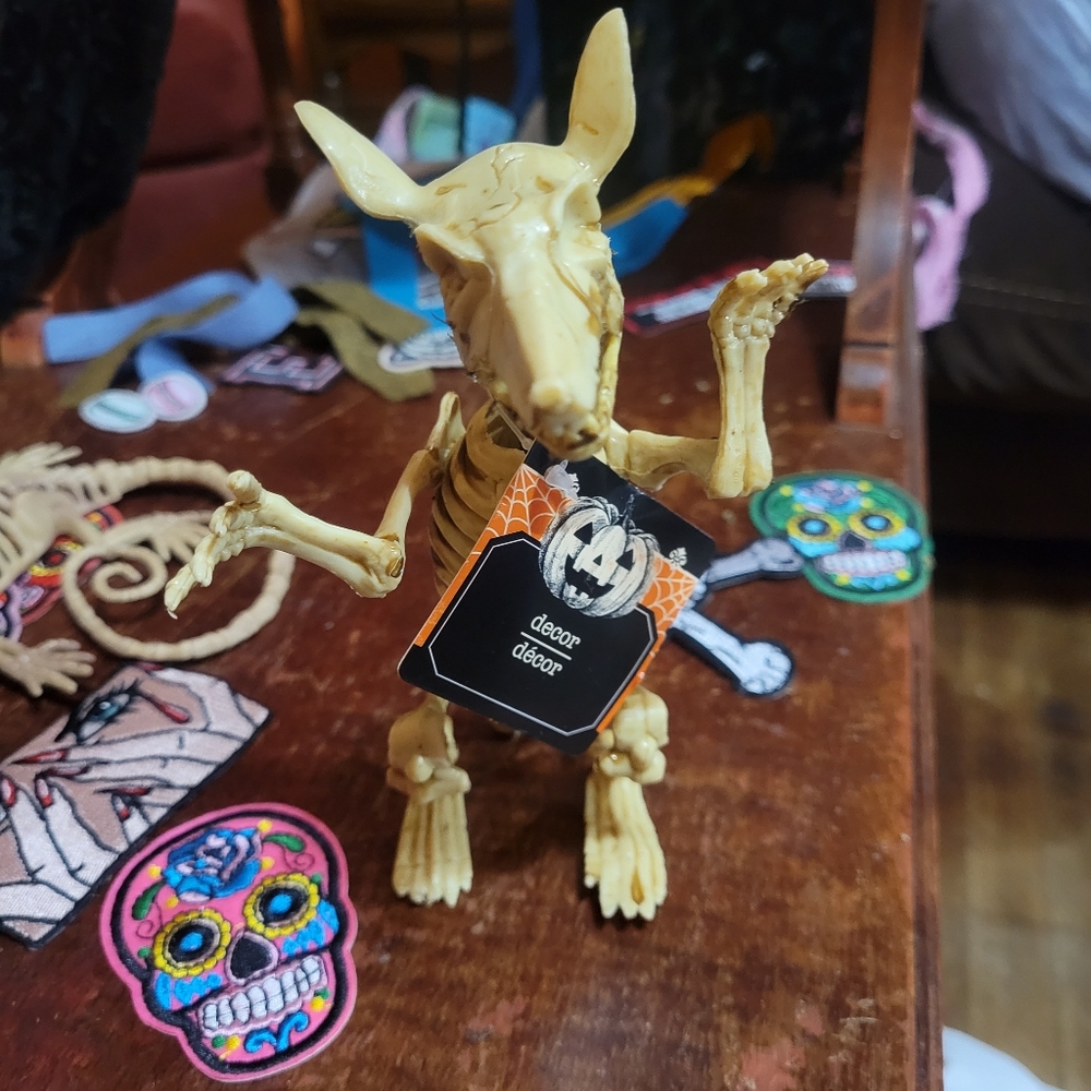 skeleton rat - Picture 2 of 2
